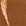 SHIRT 3225806 CINNAMON